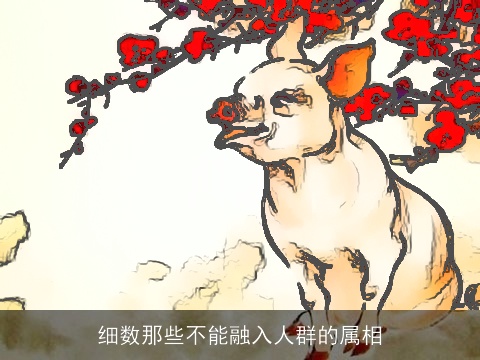 细数那些不能融入人群的属相