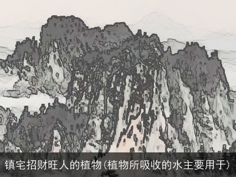 镇宅招财旺人的植物(植物所吸收的水主要用于)
