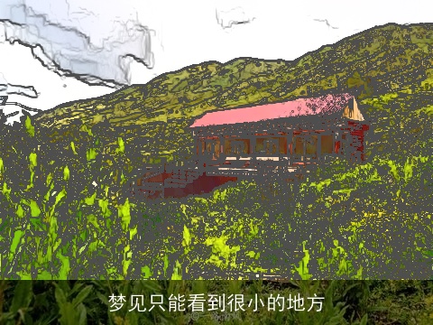 梦见只能看到很小的地方