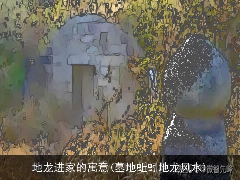 地龙进家的寓意(墓地蚯蚓地龙风水)