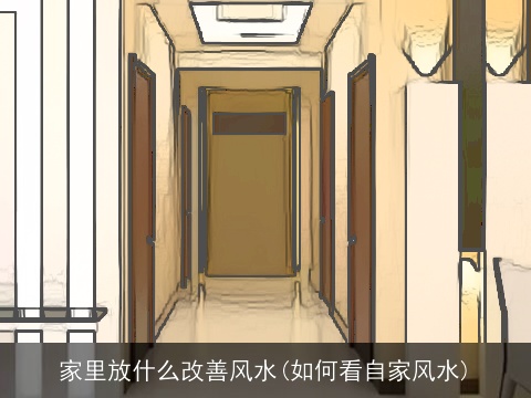家里放什么改善风水(如何看自家风水)