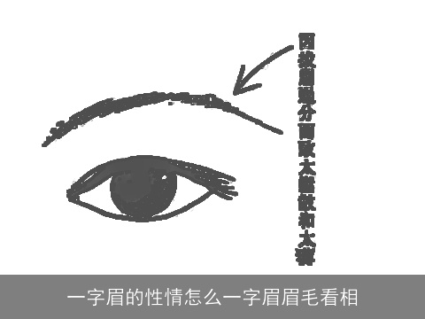 一字眉的性情怎么一字眉眉毛看相