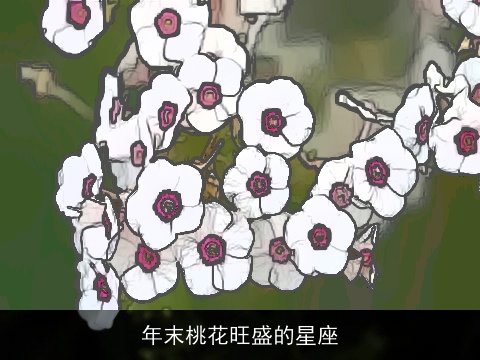 年末桃花旺盛的星座