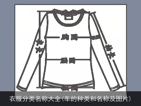 衣服分类名称大全(车的种类和名称及图片)