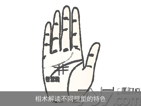相术解读不同腿型的特色