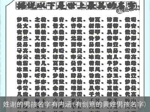 姓谢的男孩名字有内涵(有创意的黄姓男孩名字)