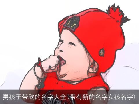 男孩子带欣的名字大全(带有新的名字女孩名字)