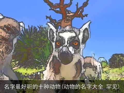 名字最好听的十种动物(动物的名字大全 罕见)