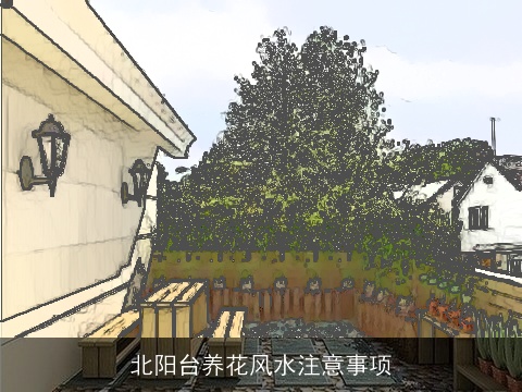 北阳台养花风水注意事项