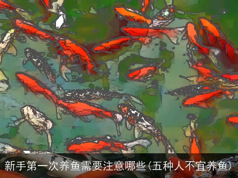 新手第一次养鱼需要注意哪些(五种人不宜养鱼)