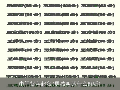 中间紫字起名(男孩叫紫什么好听)