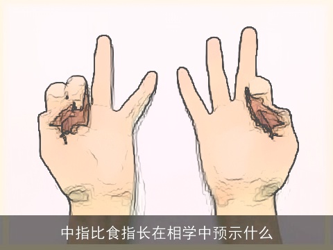 中指比食指长在相学中预示什么