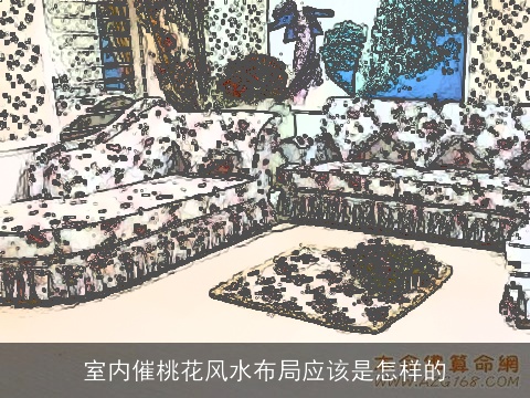 室内催桃花风水布局应该是怎样的