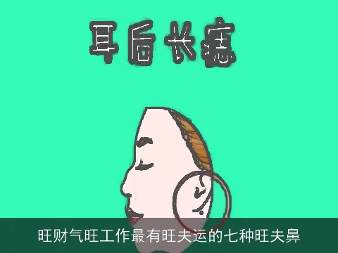 旺财气旺工作最有旺夫运的七种旺夫鼻