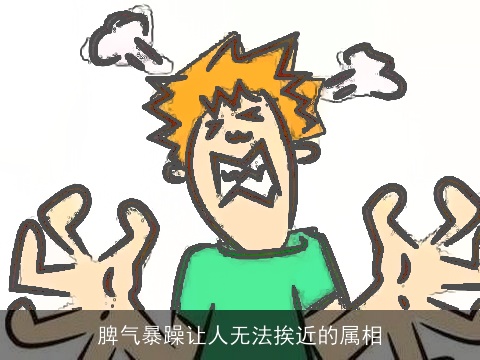 脾气暴躁让人无法挨近的属相