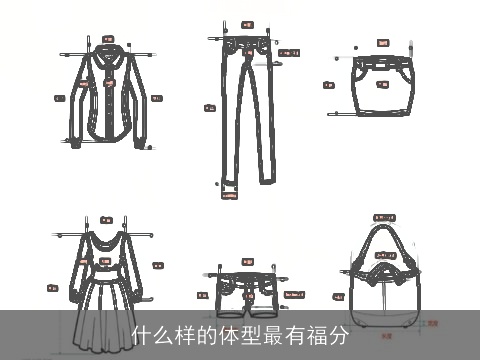 什么样的体型最有福分