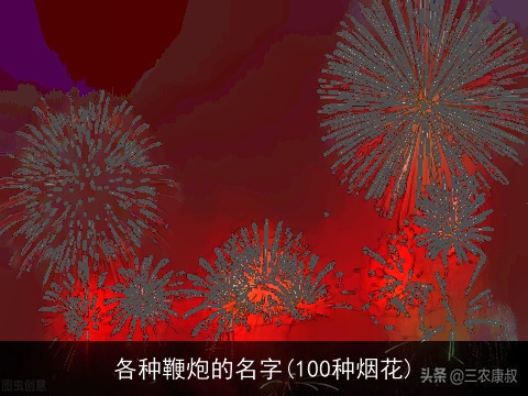 各种鞭炮的名字(100种烟花)