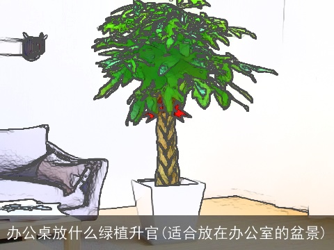 办公桌放什么绿植升官(适合放在办公室的盆景)