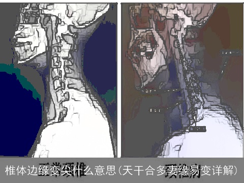 椎体边缘变尖什么意思(天干合多妻缘易变详解)