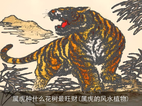 属虎种什么花树最旺财(属虎的风水植物)