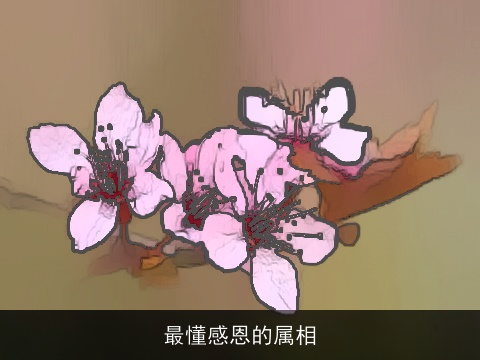 最懂感恩的属相