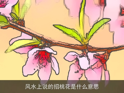风水上说的招桃花是什么意思