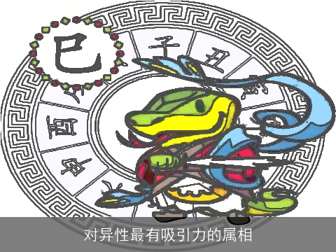 对异性最有吸引力的属相