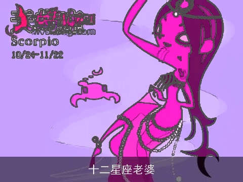十二星座老婆