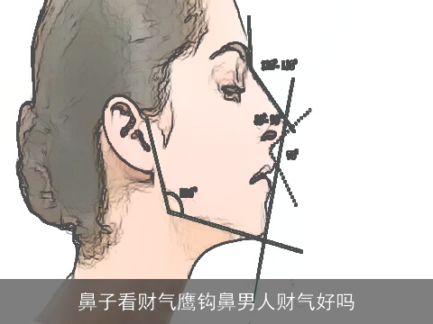 鼻子看财气鹰钩鼻男人财气好吗