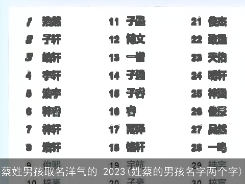 蔡姓男孩取名洋气的 2023(姓蔡的男孩名字两个字)
