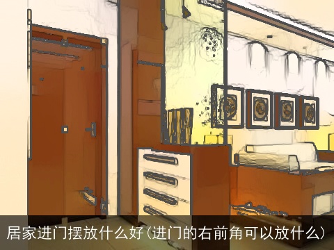 居家进门摆放什么好(进门的右前角可以放什么)