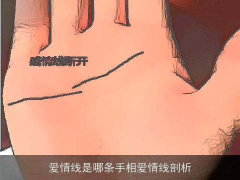 爱情线是哪条手相爱情线剖析