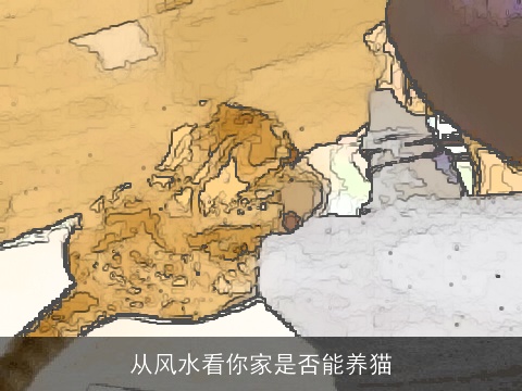 从风水看你家是否能养猫