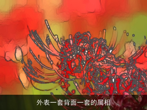 外表一套背面一套的属相