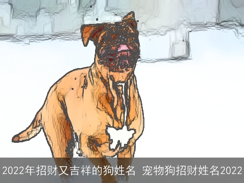 2022年招财又吉祥的狗姓名 宠物狗招财姓名2022