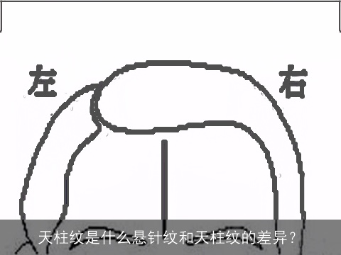 天柱纹是什么悬针纹和天柱纹的差异？