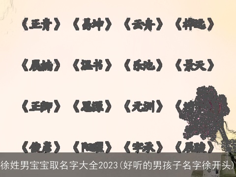 徐姓男宝宝取名字大全2023(好听的男孩子名字徐开头)