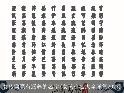 女孩漂亮有涵养的名字(女孩小名大全洋气2023)