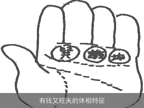 有钱又旺夫的体相特征