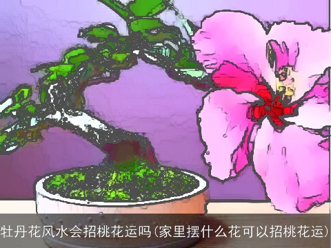 牡丹花风水会招桃花运吗(家里摆什么花可以招桃花运)