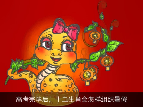 高考完毕后，十二生肖会怎样组织暑假