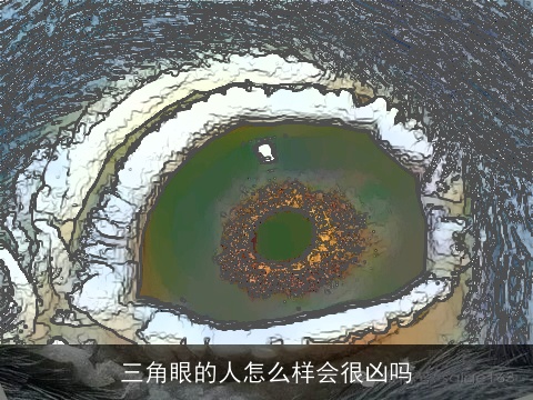 三角眼的人怎么样会很凶吗