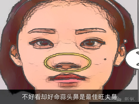 不好看却好命蒜头鼻是最佳旺夫鼻