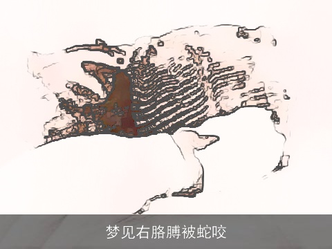 梦见右胳膊被蛇咬