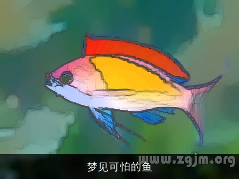 梦见可怕的鱼