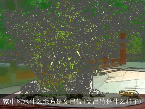 家中风水什么地方是文昌位(文昌竹是什么样子)