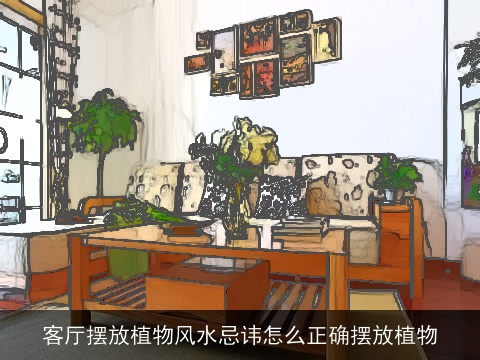 客厅摆放植物风水忌讳怎么正确摆放植物