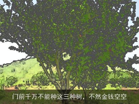 门前千万不能种这三种树，不然金钱空空