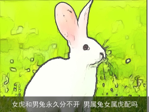 女虎和男兔永久分不开 男属兔女属虎配吗