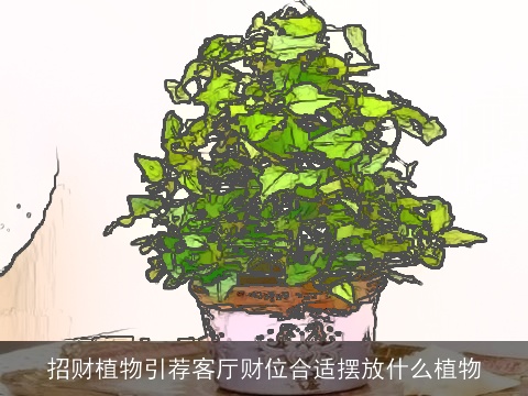 招财植物引荐客厅财位合适摆放什么植物